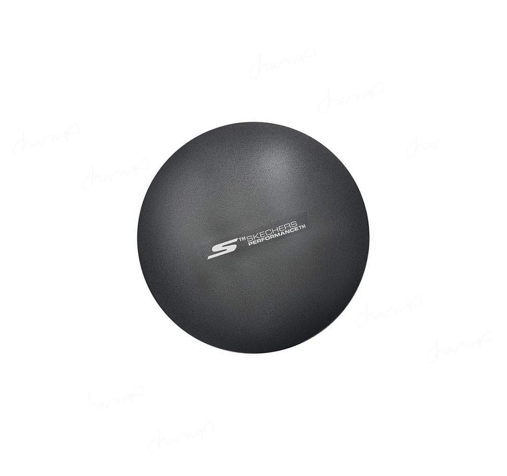 Accesorios Skechers Fitness Exercise Ball Hombre Negras | I03TD_AR