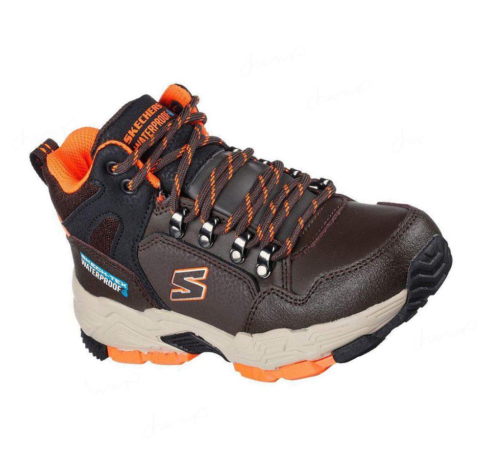 Botas Skechers Drollix Niño Chocolate Naranjas | TAA2L_AR