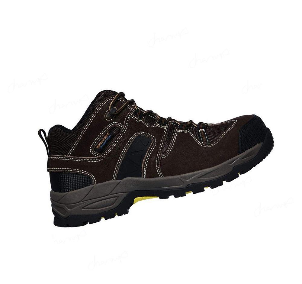 Botas Skechers Trabajo: Monter Comp Puntera Hombre Marrones Oscuro | A8A3X_AR