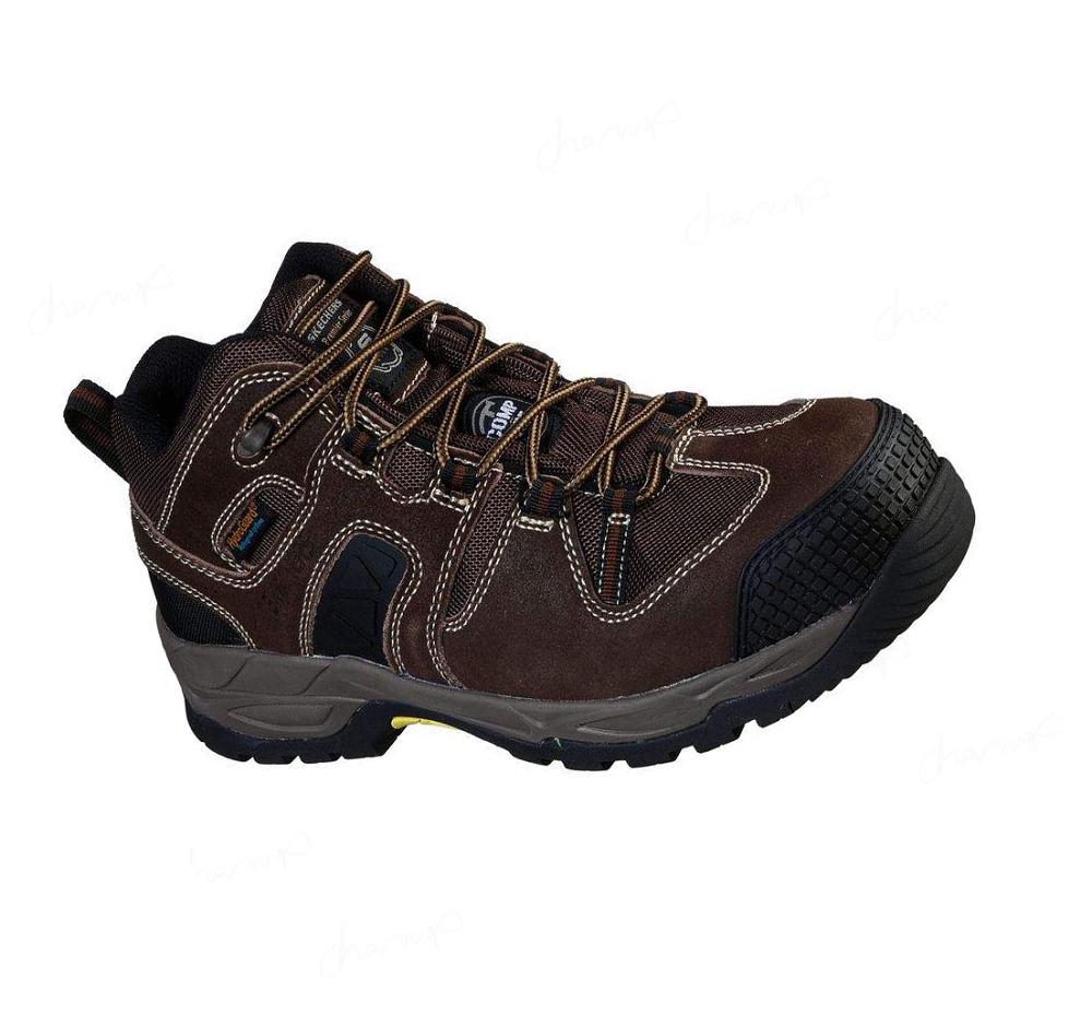 Botas Skechers Trabajo: Monter Comp Puntera Hombre Marrones Oscuro | A8A3X_AR