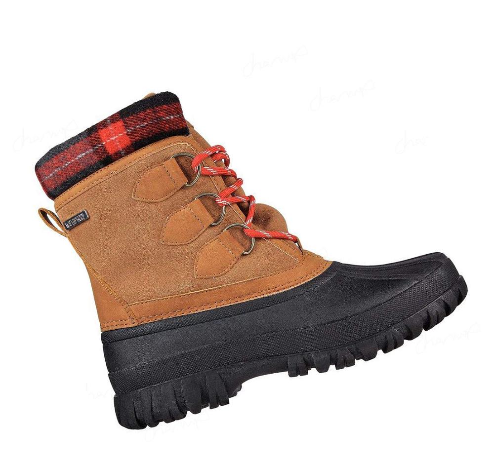 Botas Skechers Windom - Plaid Town Mujer Negras Marrones | A116S_AR