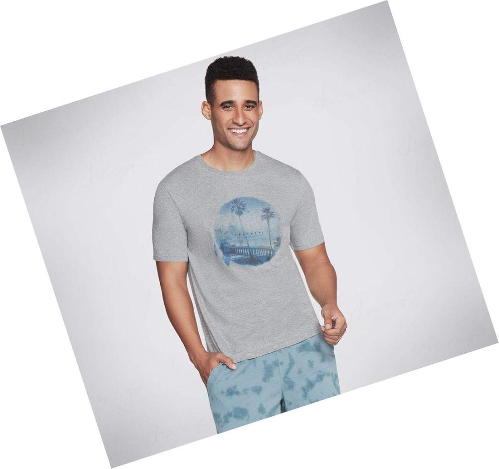 Camiseta Skechers Pier Hombre Gris | 3012B_AR