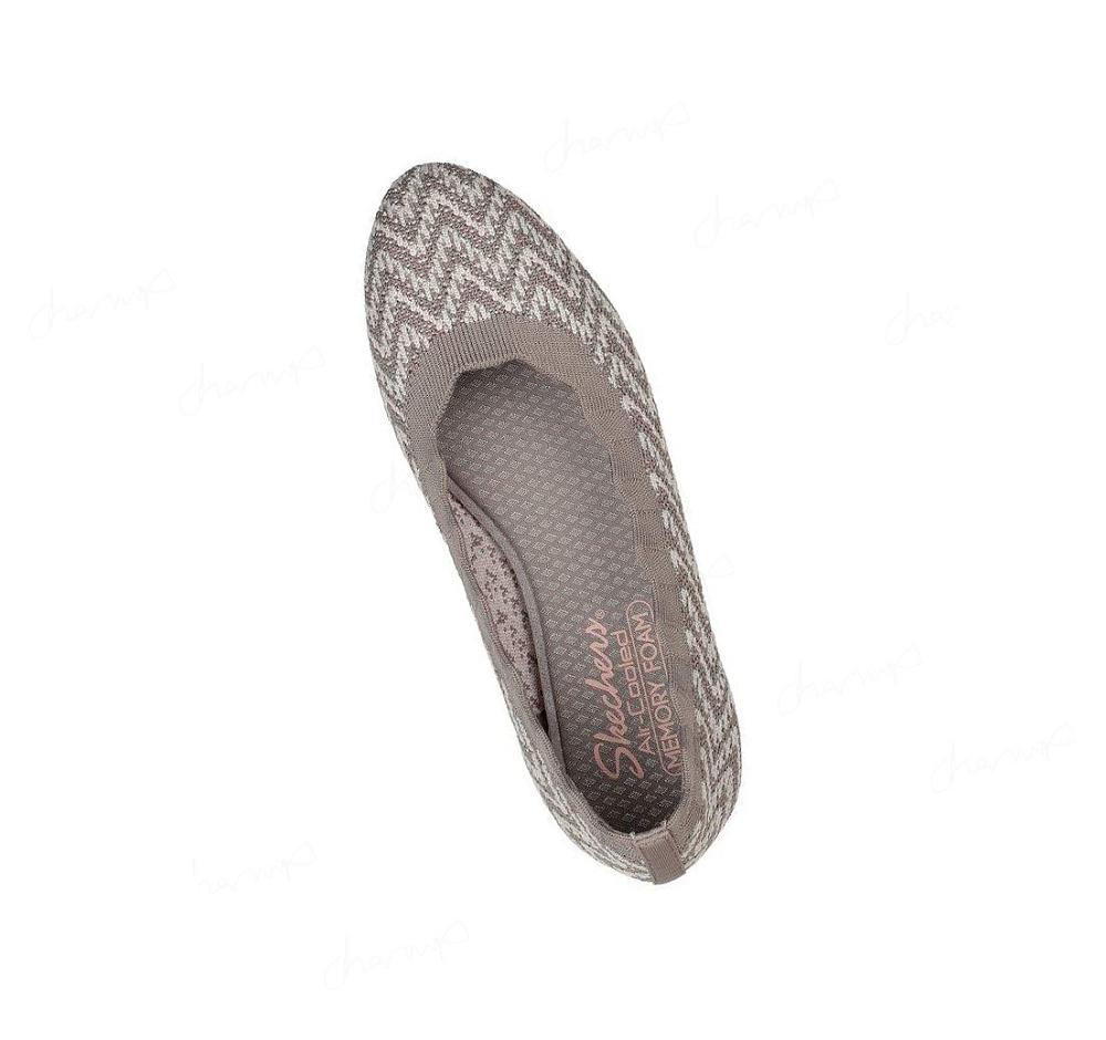 Flats Skechers Cleo 2.0 - Like Treasure Mujer Gris Marrones | A953B_AR