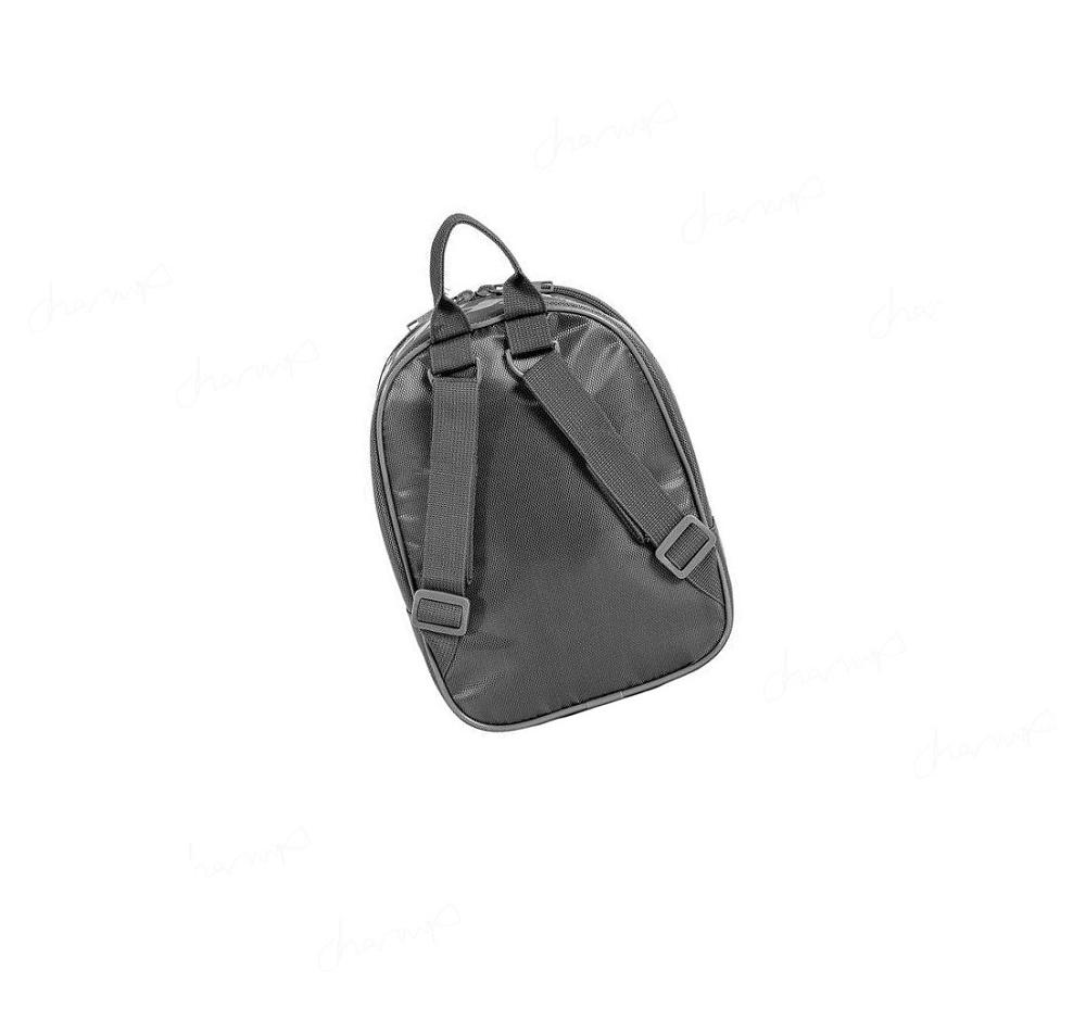 Mochilas Skechers SKX Logo Mini Mujer Gris | AT19B_AR