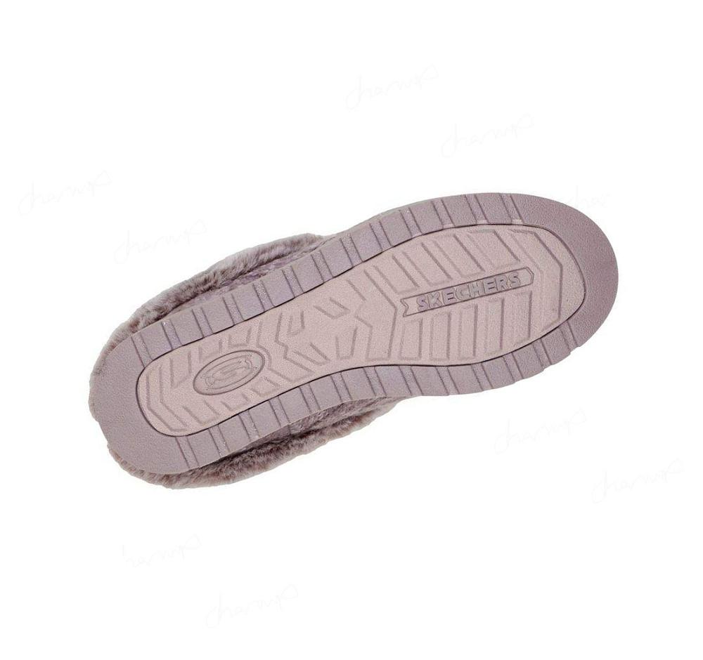 Pantuflas Skechers BOBS Keepsakes - Ice Angel Mujer Moradas | 63T6L_AR