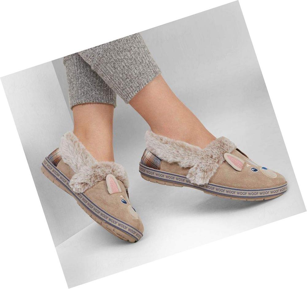 Pantuflas Skechers BOBS Too Cozy - Dog-Attitude Mujer Gris Marrones | 63300_AR