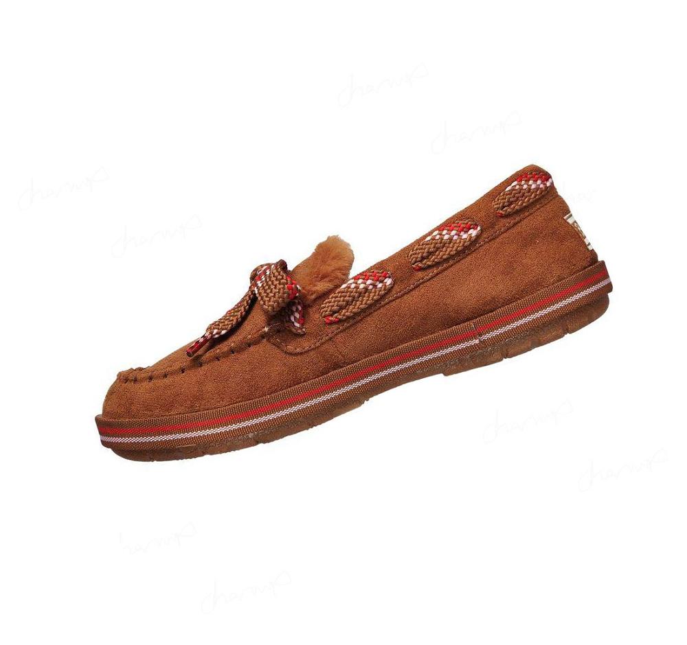 Pantuflas Skechers BOBS Too Cozy - Invierno's End Mujer Marrones | 62513_AR