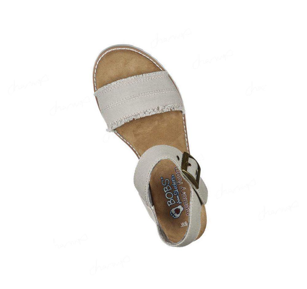 Sandalias Skechers BOBS Desert Kiss - Adobe Princess Mujer Gris Marrones | 51T8W_AR