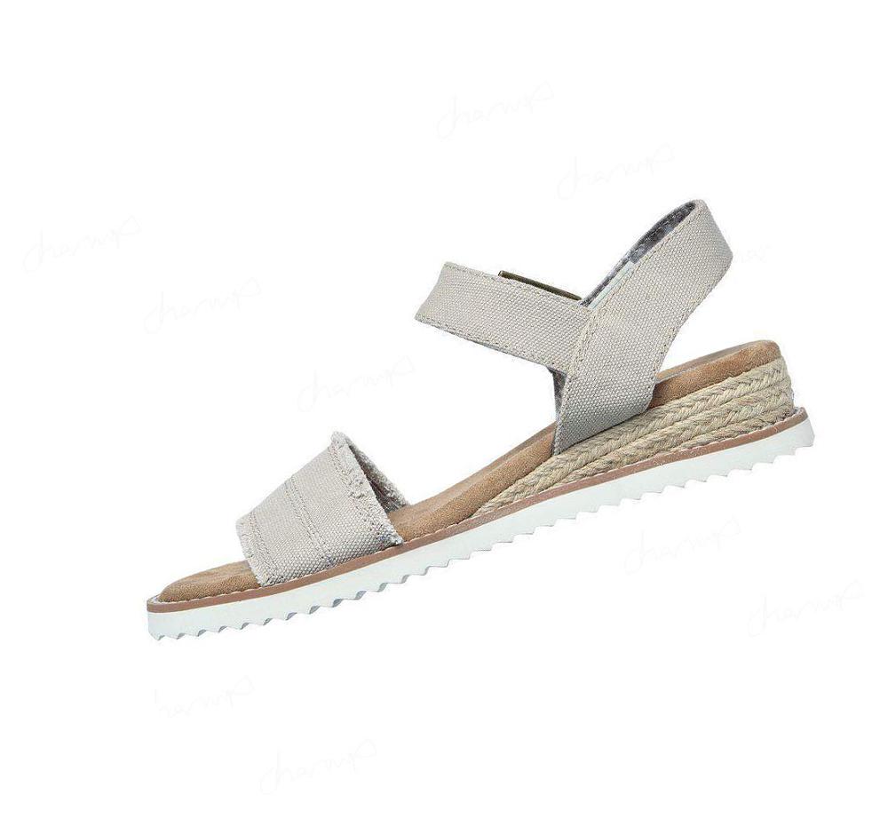 Sandalias Skechers BOBS Desert Kiss - Adobe Princess Mujer Gris Marrones | 51T8W_AR