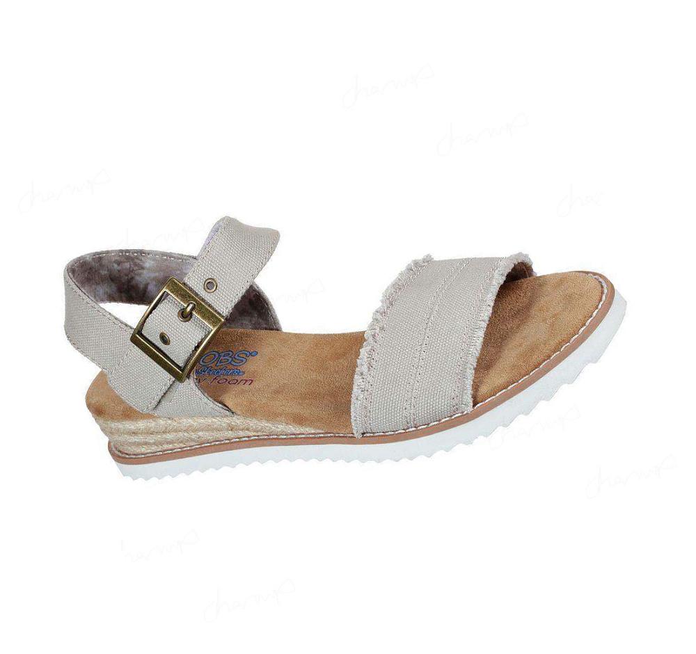 Sandalias Skechers BOBS Desert Kiss - Adobe Princess Mujer Gris Marrones | 51T8W_AR