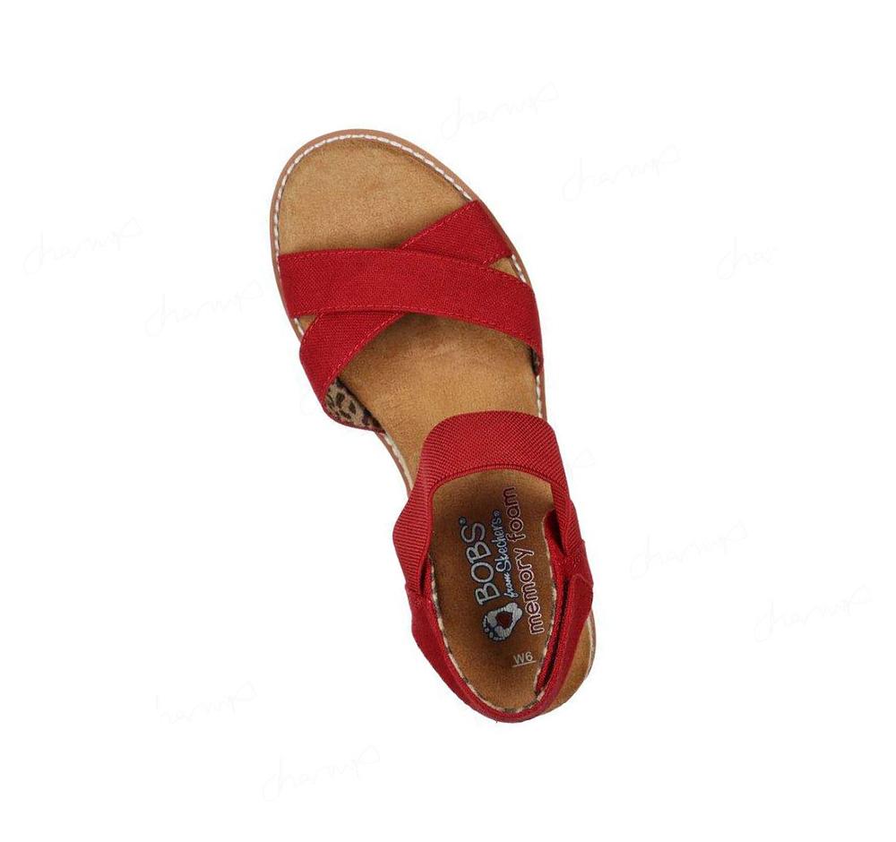 Sandalias Skechers BOBS Desert Kiss - Secret Picnic Mujer Rojas | 52050_AR