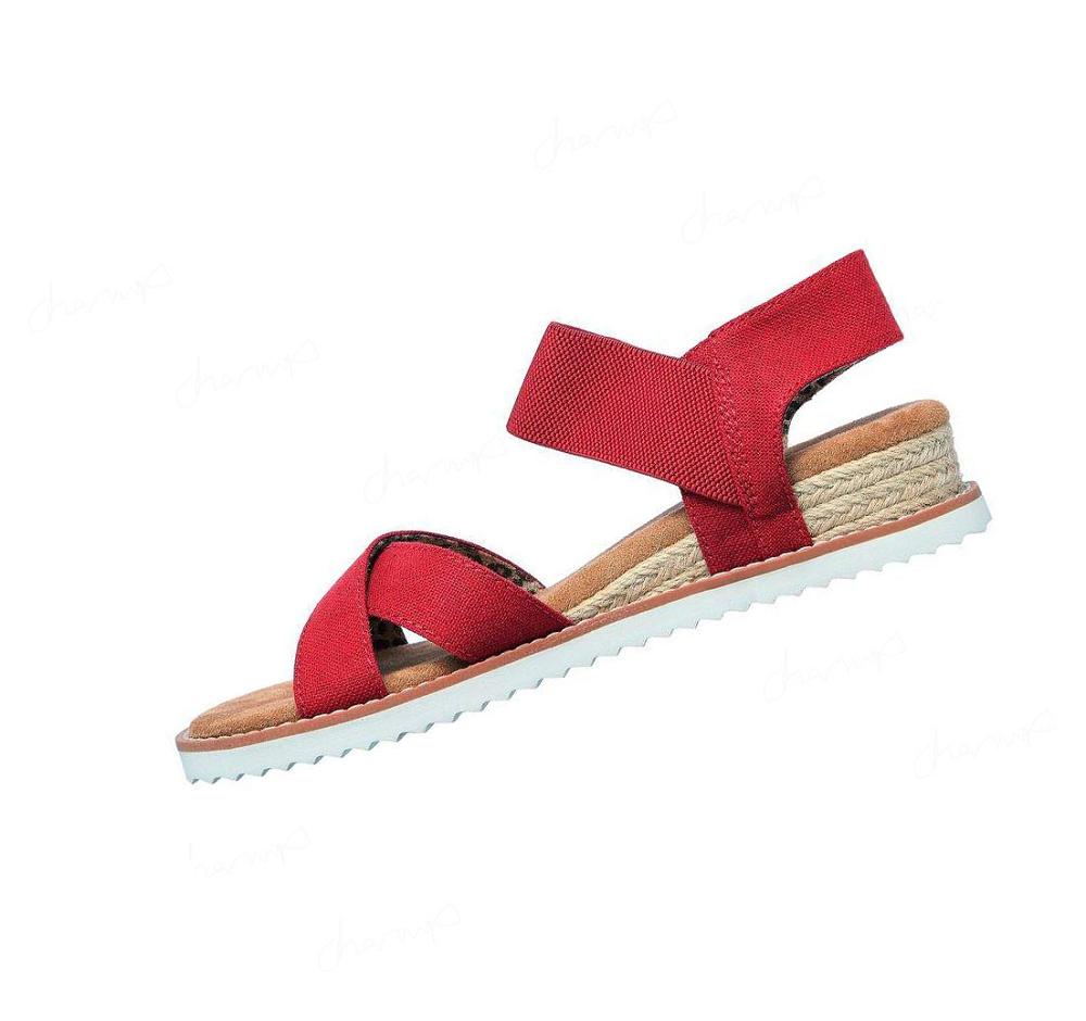 Sandalias Skechers BOBS Desert Kiss - Secret Picnic Mujer Rojas | 52050_AR