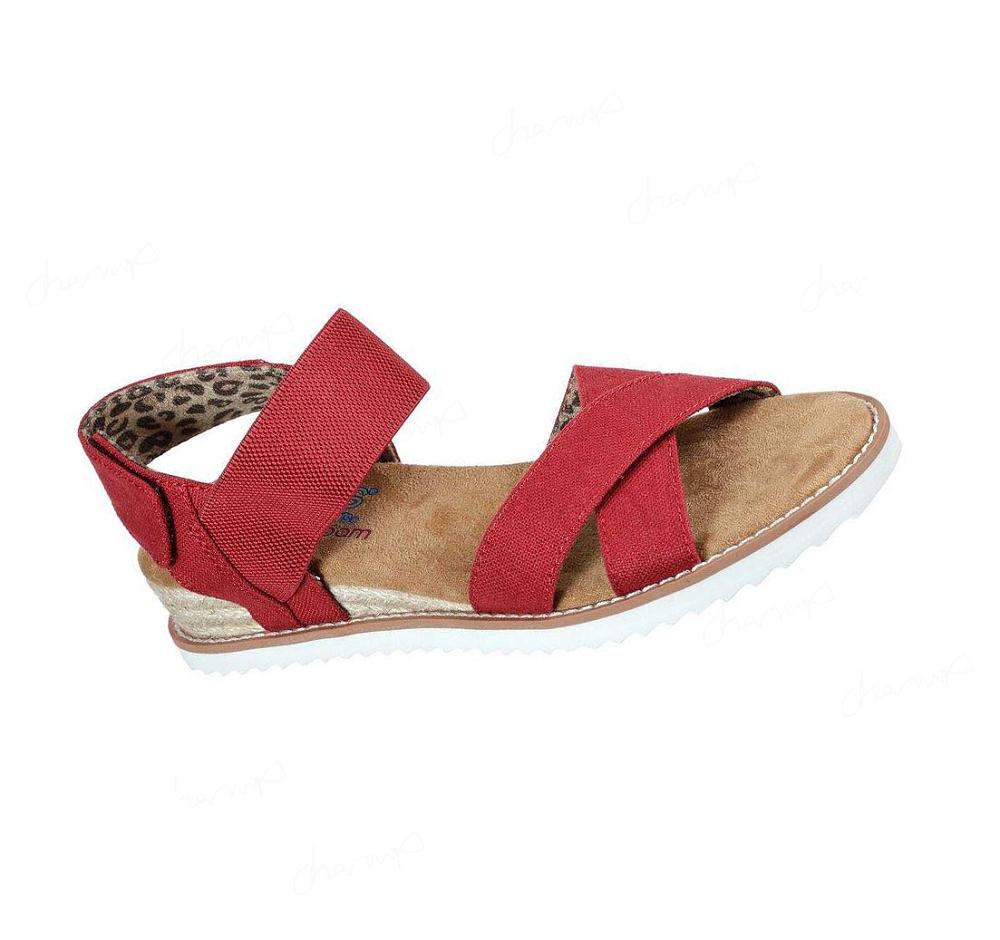 Sandalias Skechers BOBS Desert Kiss - Secret Picnic Mujer Rojas | 52050_AR