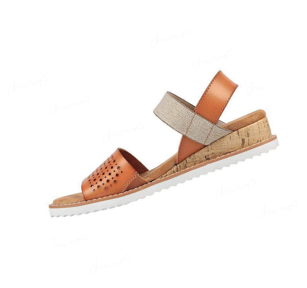 Sandalias Skechers BOBS Desert Kiss - Triple Scoop Mujer Marrones | 51T6K_AR