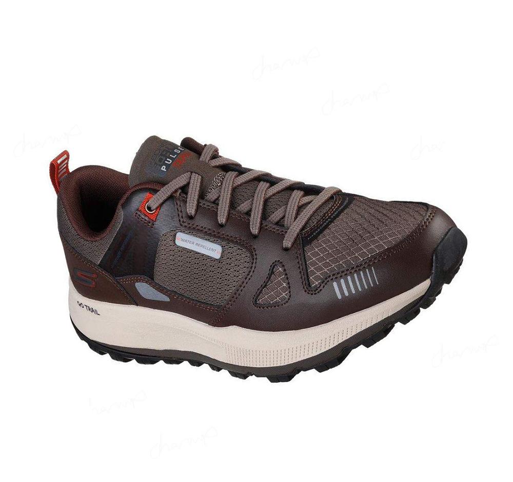 Zapatillas De Trail Running Skechers GO RUN Pulse Trail - Ultra Radius Hombre Marrones | A550A_AR