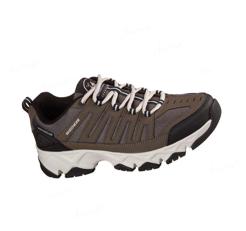 Zapatillas Skechers Relaxed Fit: Crossbar - Stilholt Hombre Marrones | 393T3_AR