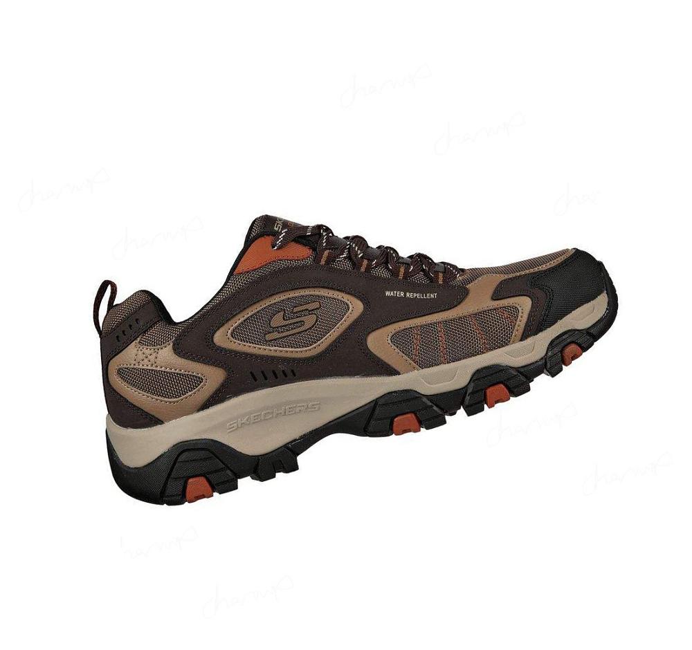 Zapatillas Skechers Terrabite - Crossroad Hombre Chocolate | 3T6AR_AR