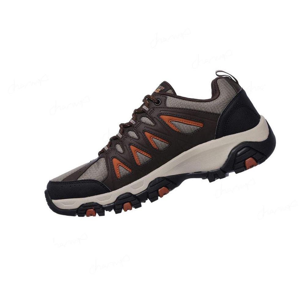 Zapatillas Skechers Terrabite Hombre Marrones Naranjas | 3T50L_AR