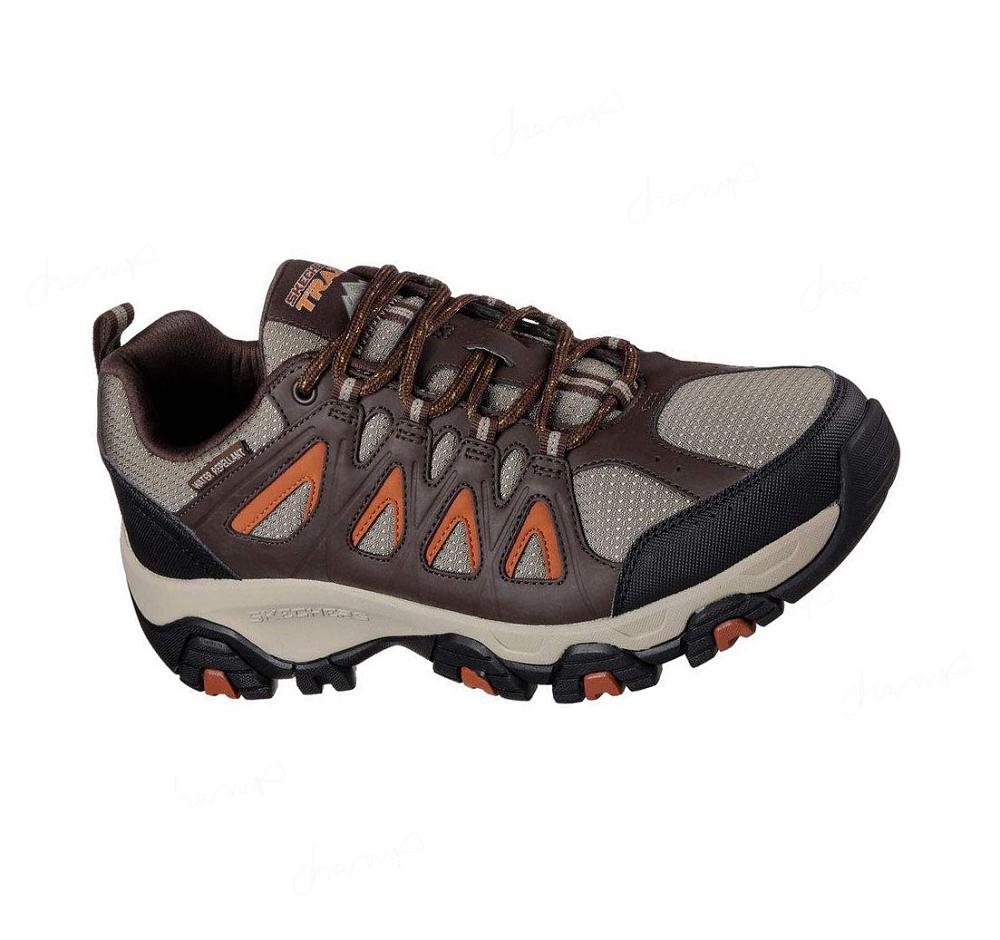 Zapatillas Skechers Terrabite Hombre Marrones Naranjas | 3T50L_AR