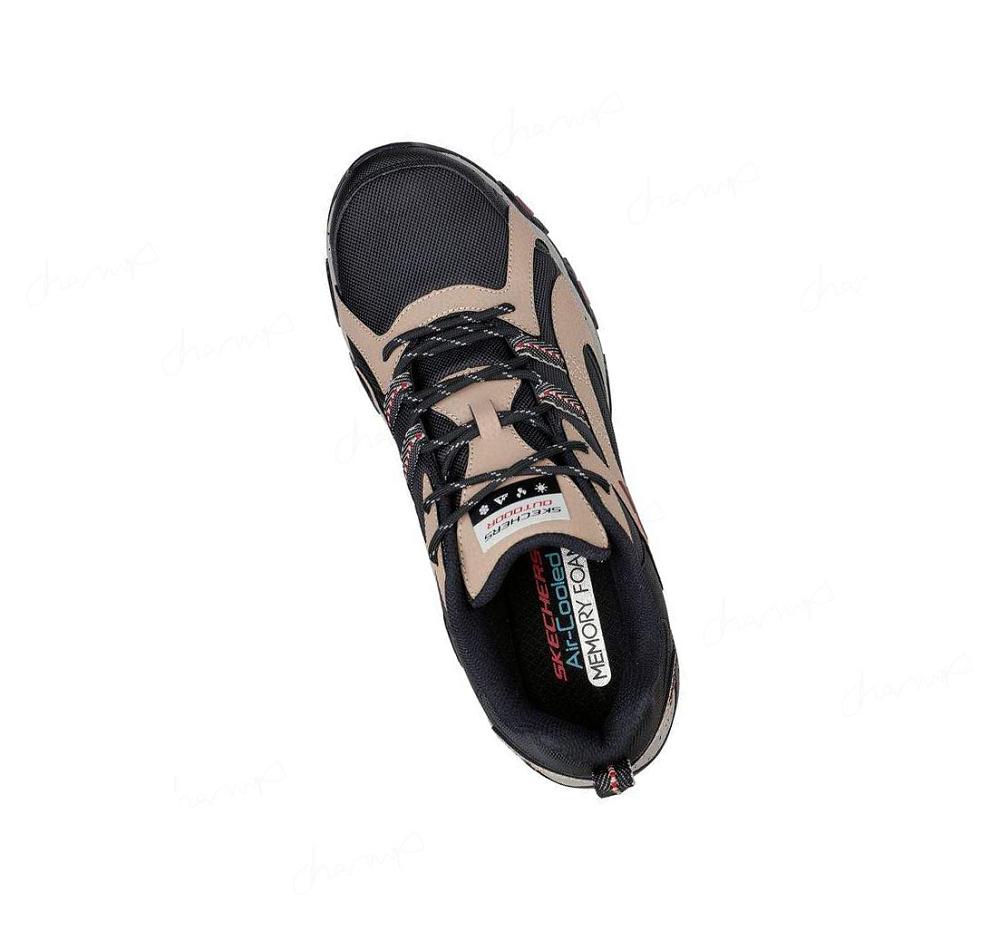 Zapatillas Skechers Terrabite - Trailborn Hombre Negras Marrones | 3T8TD_AR