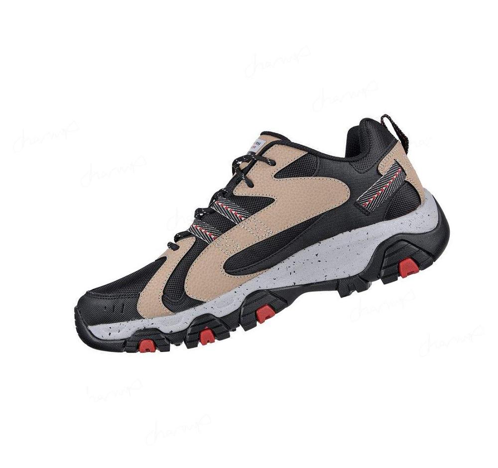 Zapatillas Skechers Terrabite - Trailborn Hombre Negras Marrones | 3T8TD_AR