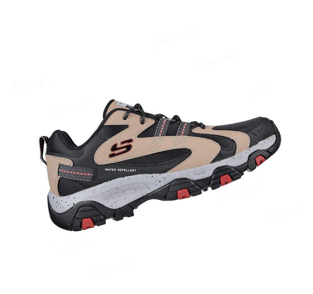 Zapatillas Skechers Terrabite - Trailborn Hombre Negras Marrones | 3T8TD_AR