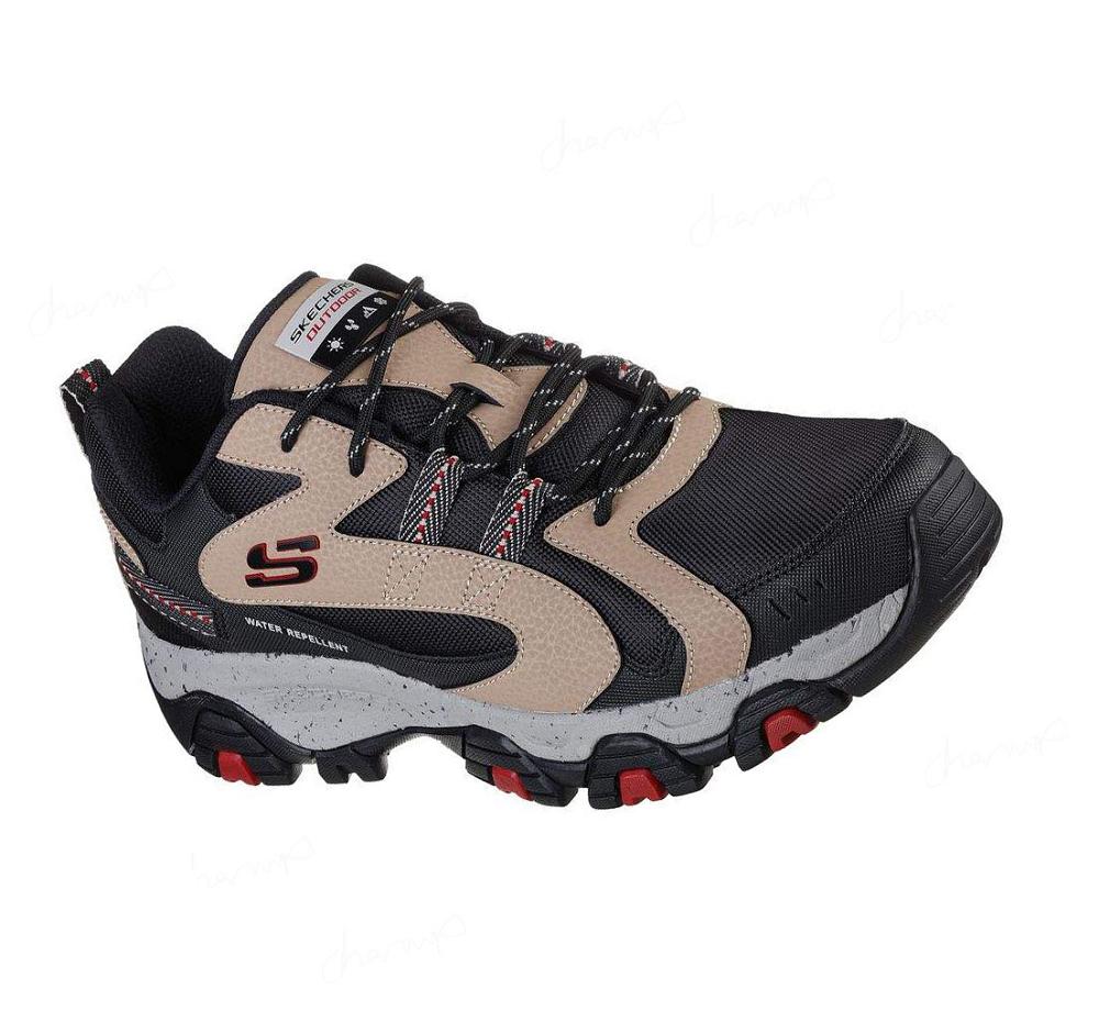 Zapatillas Skechers Terrabite - Trailborn Hombre Negras Marrones | 3T8TD_AR