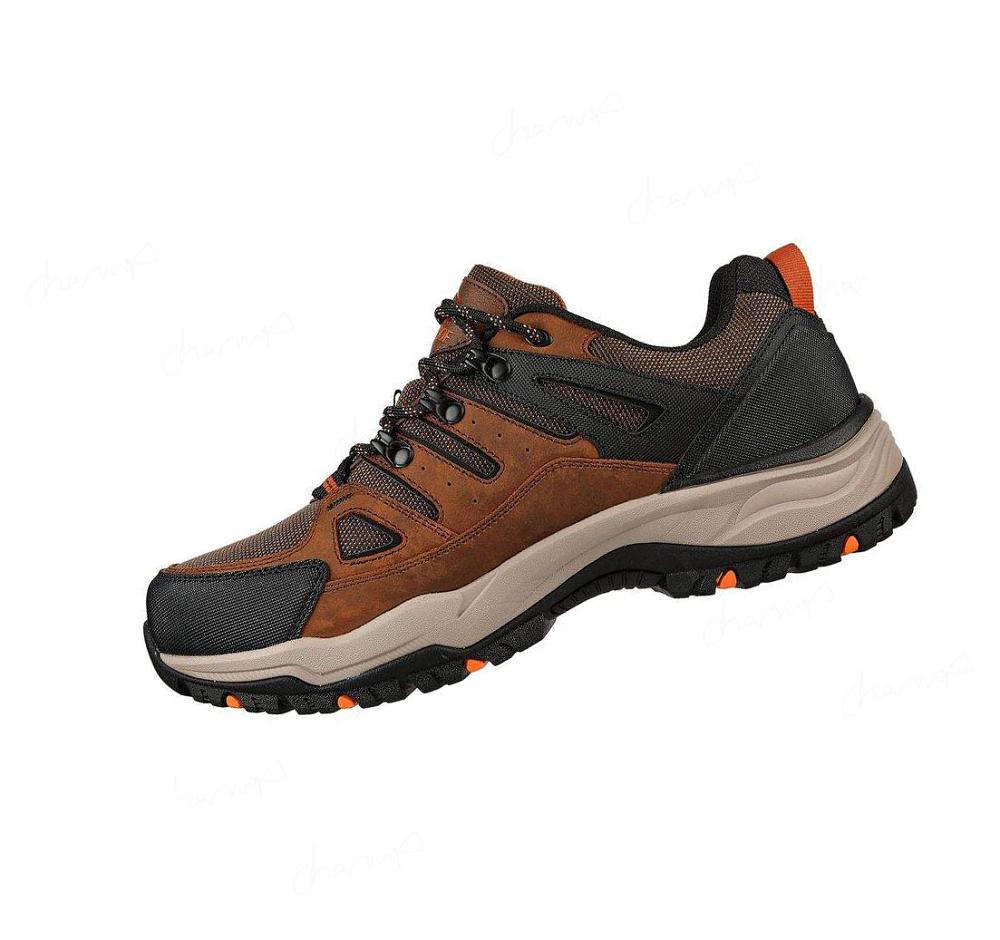 Zapatos Casuales Skechers Relaxed Fit: Arch Fit Dawson - Argosa Hombre Marrones | I332L_AR