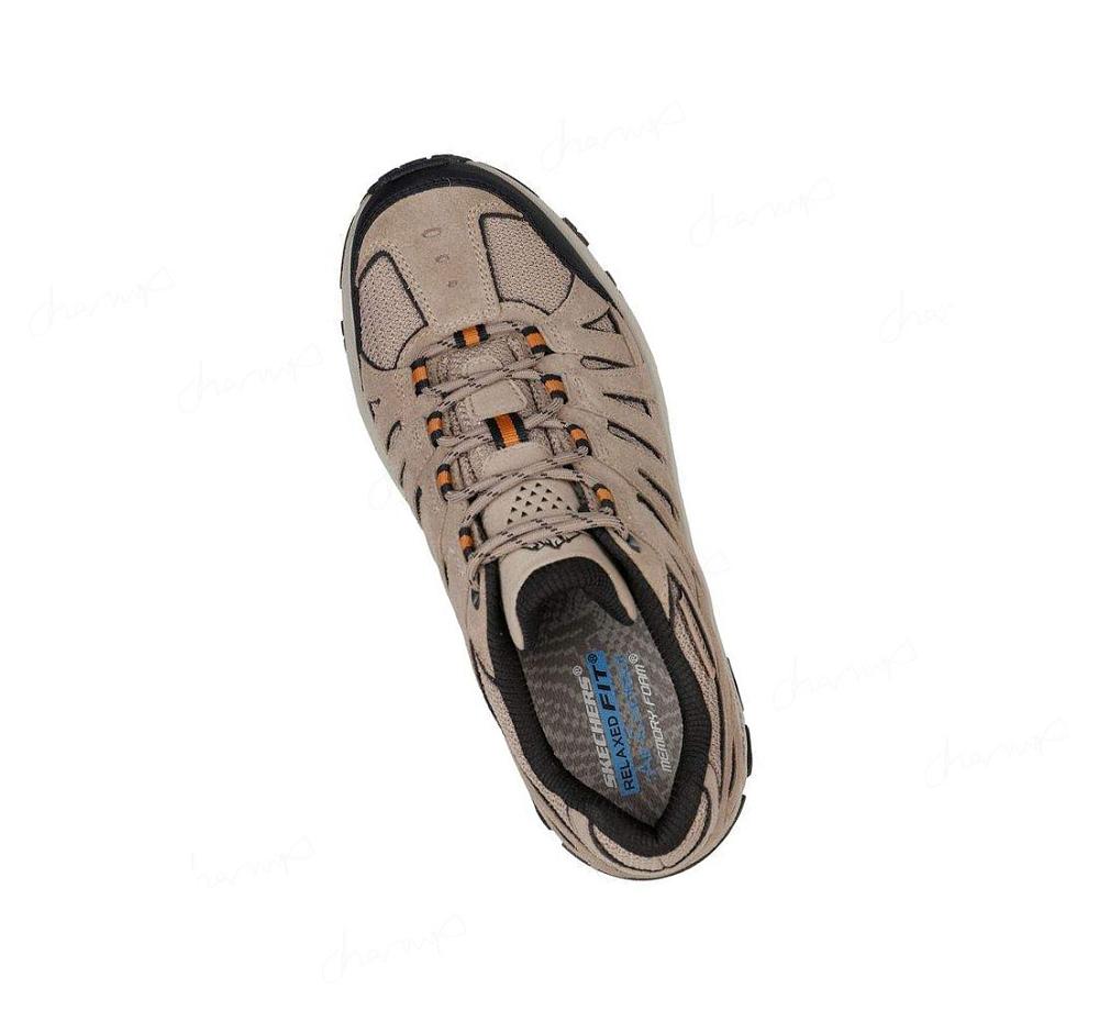 Zapatos Casuales Skechers Relaxed Fit: Edgmont - Taggert Hombre Kaki | T13T8_AR