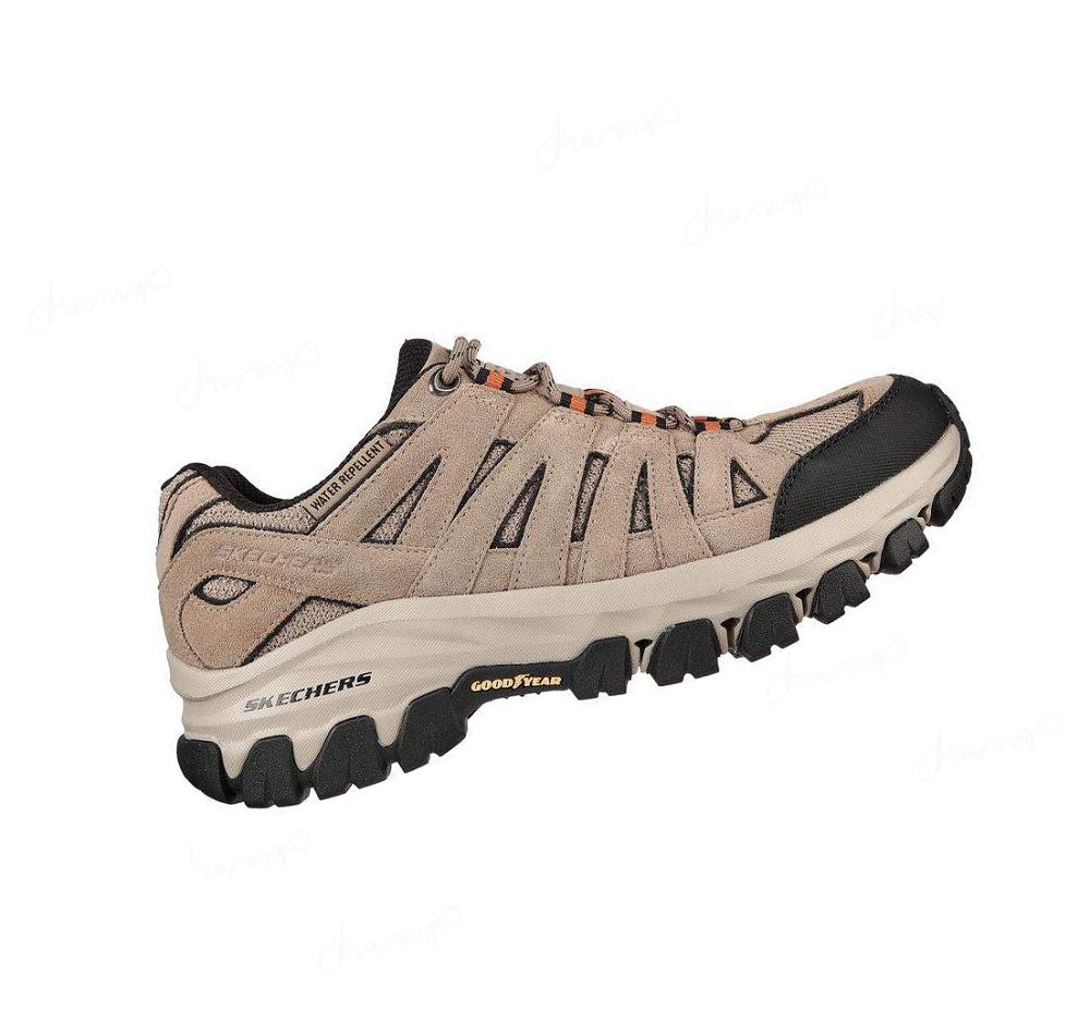 Zapatos Casuales Skechers Relaxed Fit: Edgmont - Taggert Hombre Kaki | T13T8_AR