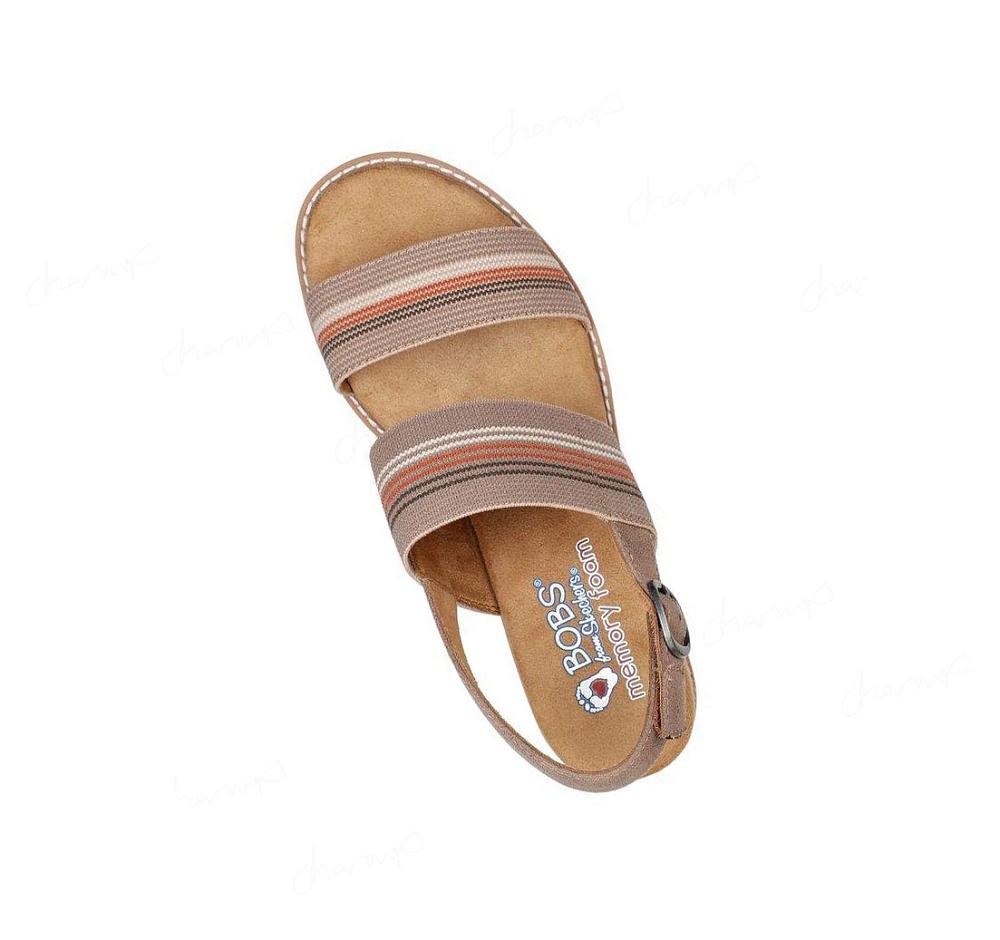 Zapatos Cuña Skechers BOBS Desert Kiss Hi - Tea Time Mujer Marrones | 31T8L_AR