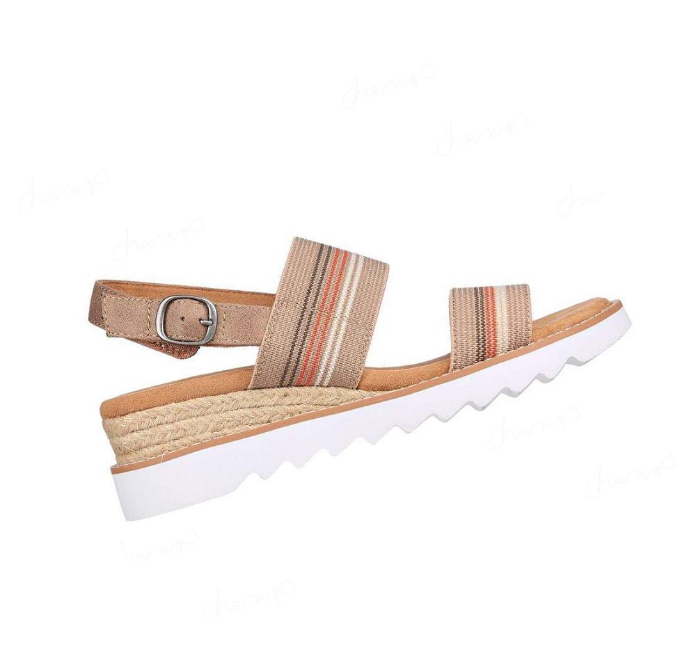 Zapatos Cuña Skechers BOBS Desert Kiss Hi - Tea Time Mujer Marrones | 31T8L_AR