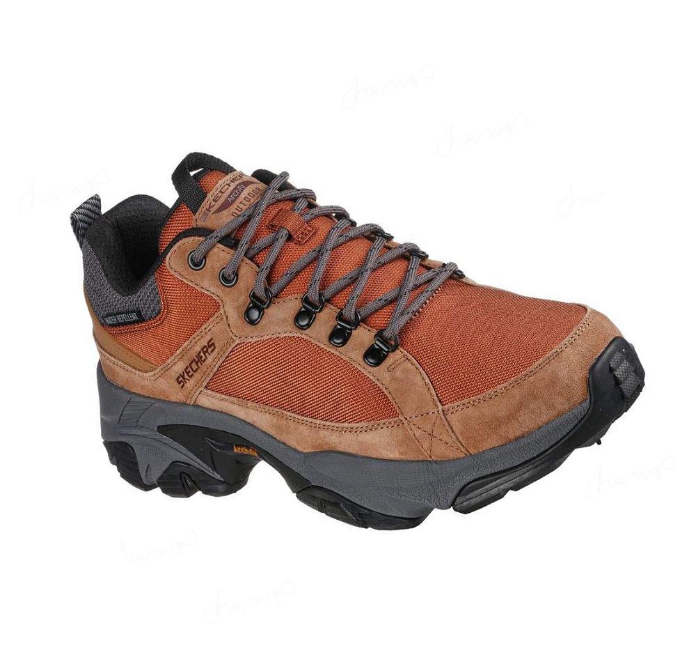 Zapatos De Senderismo Skechers Arch Fit Phantom - Upshift Hombre Marrones | A108A_AR