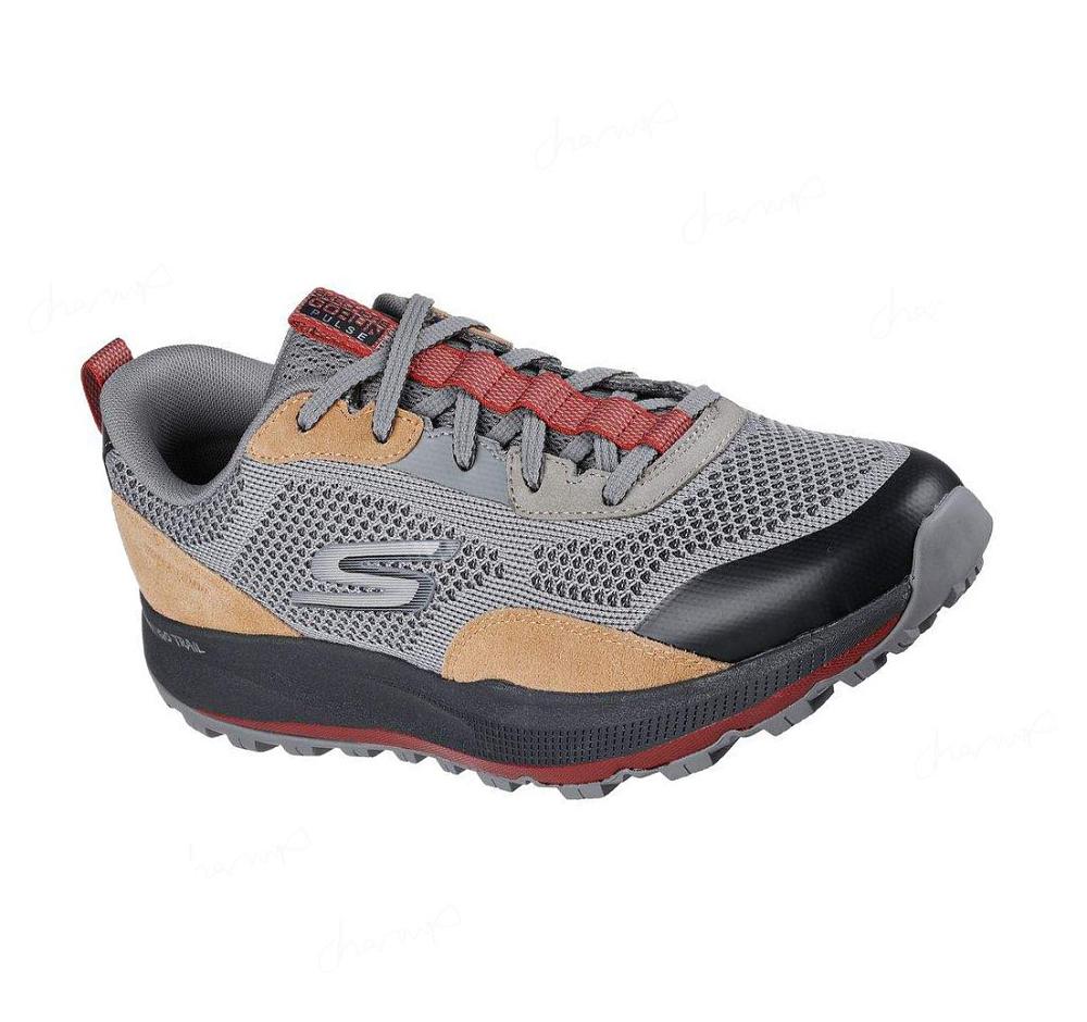 Zapatos De Senderismo Skechers GO RUN Pulse Hombre Gris Negras | 3T33B_AR