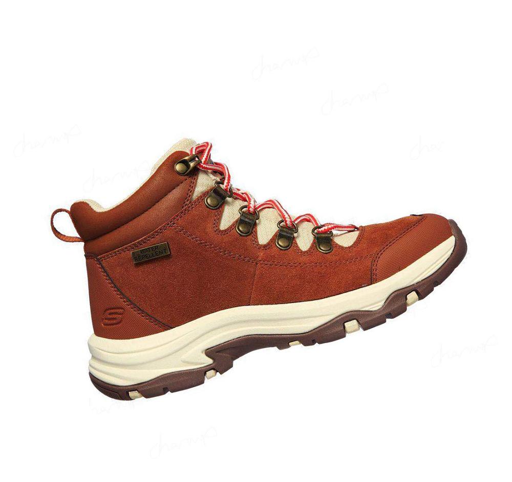 Zapatos De Senderismo Skechers Relaxed Fit: Trego - El Capitan Mujer Marrones | 686TP_AR