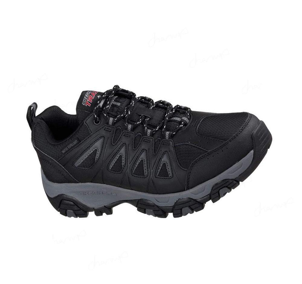 Zapatos De Senderismo Skechers Terrabite Hombre Negras Gris | 3883X_AR