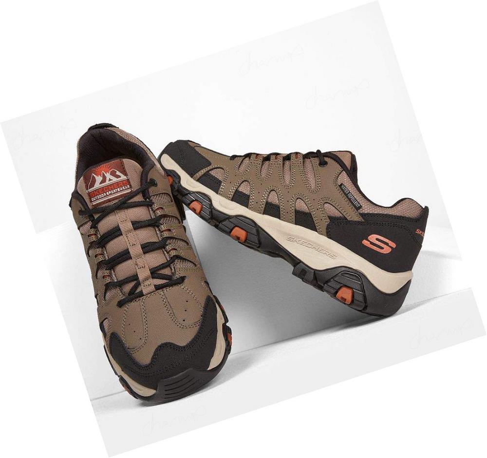 Zapatos De Senderismo Skechers Terrabite - Dellga Hombre Marrones Negras | 3T08C_AR