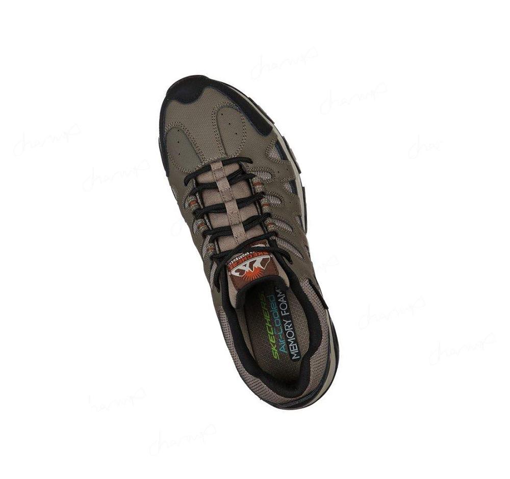 Zapatos De Senderismo Skechers Terrabite - Dellga Hombre Marrones Negras | 3T08C_AR