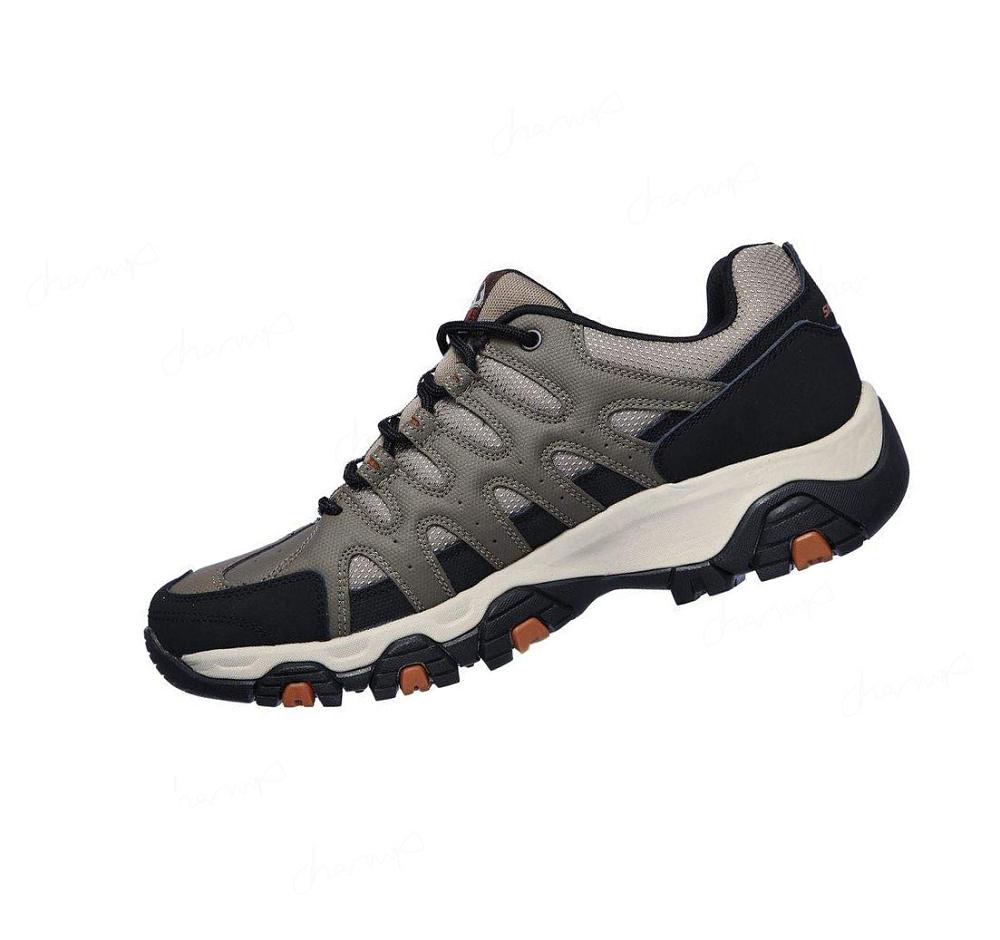 Zapatos De Senderismo Skechers Terrabite - Dellga Hombre Marrones Negras | 3T08C_AR