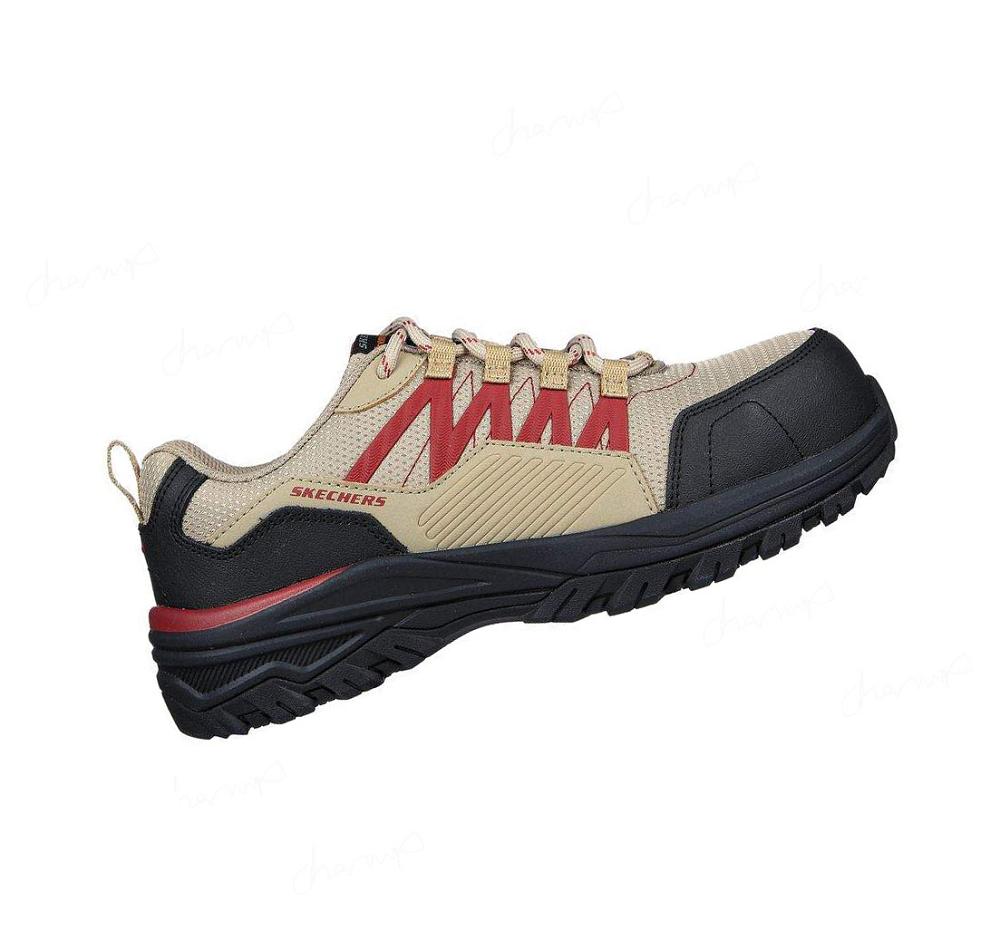 Zapatos De Trabajo Skechers Fannter - Lizal Comp Puntera Mujer Gris Marrones Burdeos | A1T13_AR