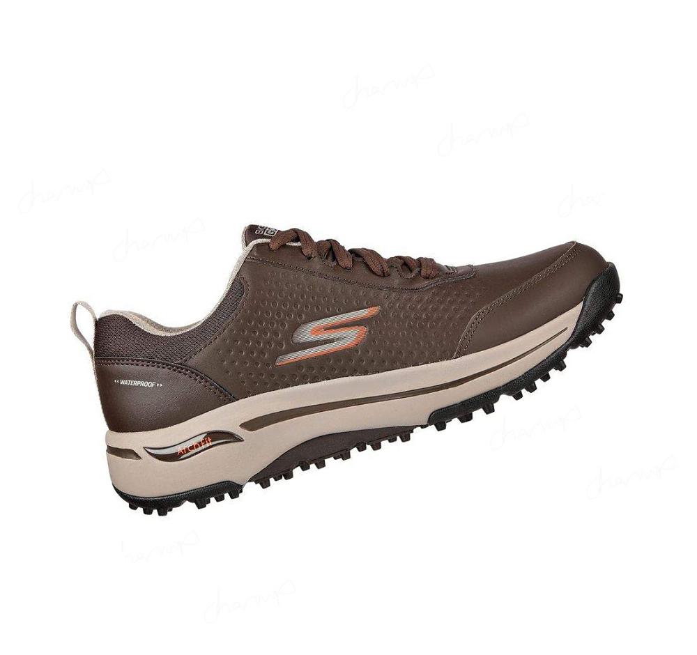 Zapatos de Golf Skechers GO GOLF Arch Fit - Set Up Mujer Marrones | 3951Q_AR