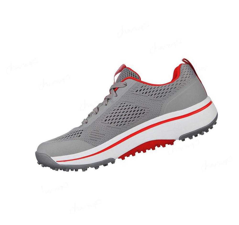 Zapatos de Golf Skechers GO GOLF Arch Fit - Status Hombre Gris Rojas | AA58L_AR