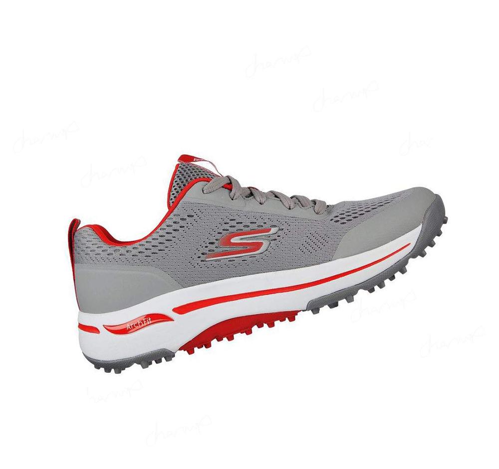 Zapatos de Golf Skechers GO GOLF Arch Fit - Status Hombre Gris Rojas | AA58L_AR