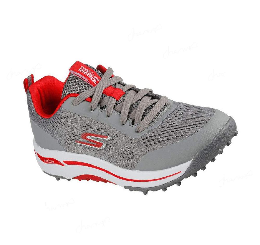 Zapatos de Golf Skechers GO GOLF Arch Fit - Status Hombre Gris Rojas | AA58L_AR