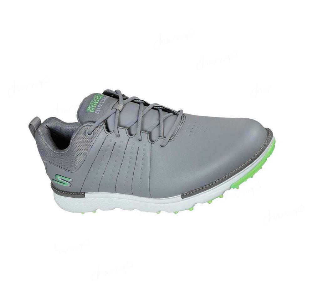 Zapatos de Golf Skechers GO GOLF Elite - Tour SL Mujer Gris Verde Claro | 3T1TQ_AR