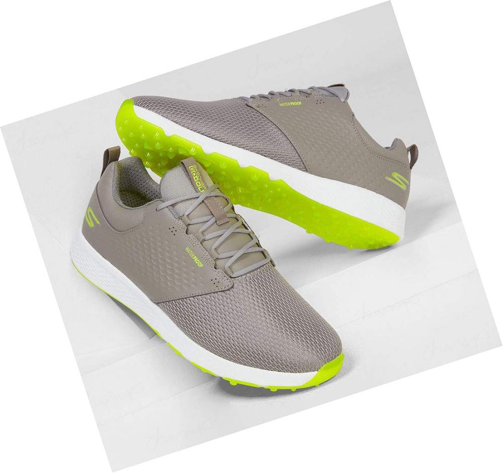 Zapatos de Golf Skechers GO GOLF Elite V.4 - Prestige RF Mujer Gris Verde Claro | 3T01X_AR