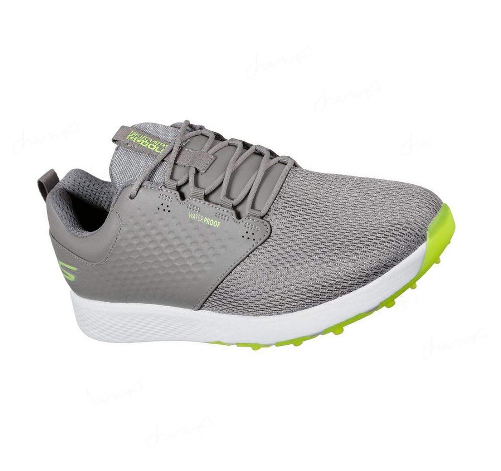 Zapatos de Golf Skechers GO GOLF Elite V.4 - Prestige RF Mujer Gris Verde Claro | 3T01X_AR