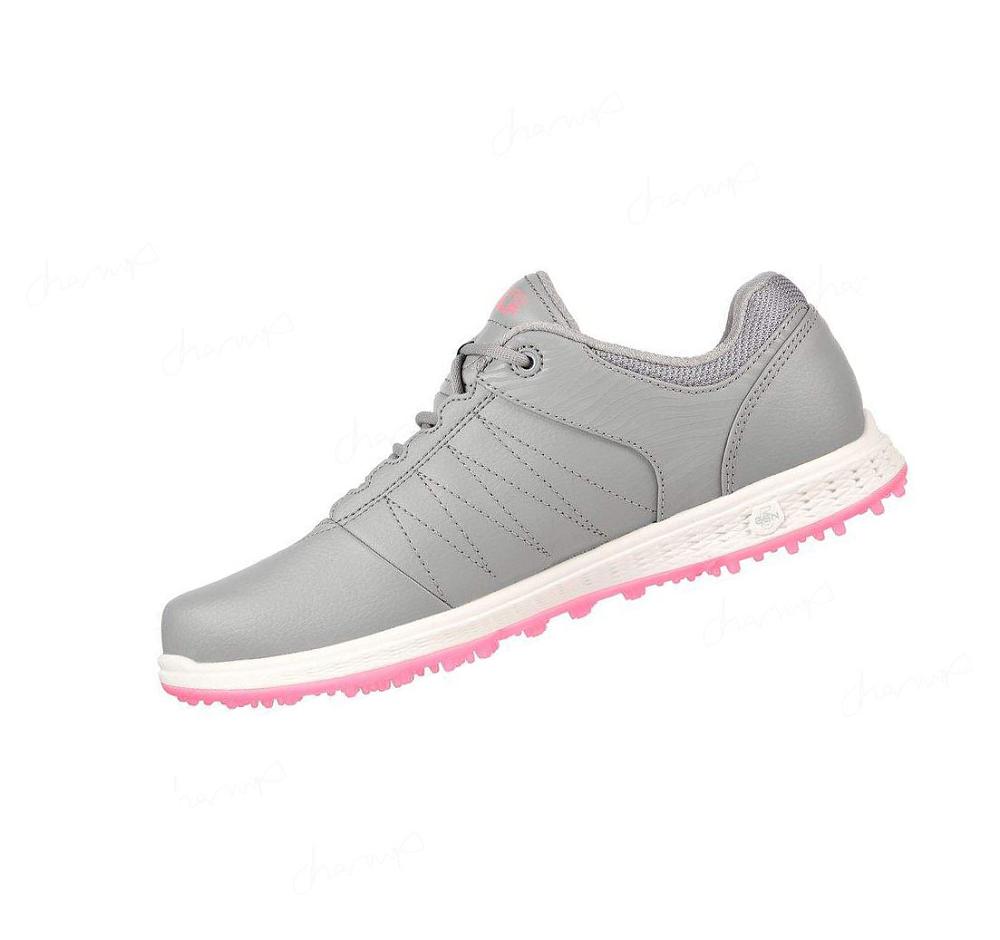 Zapatos de Golf Skechers GO GOLF Pivot Mujer Gris Rosas | 33550_AR