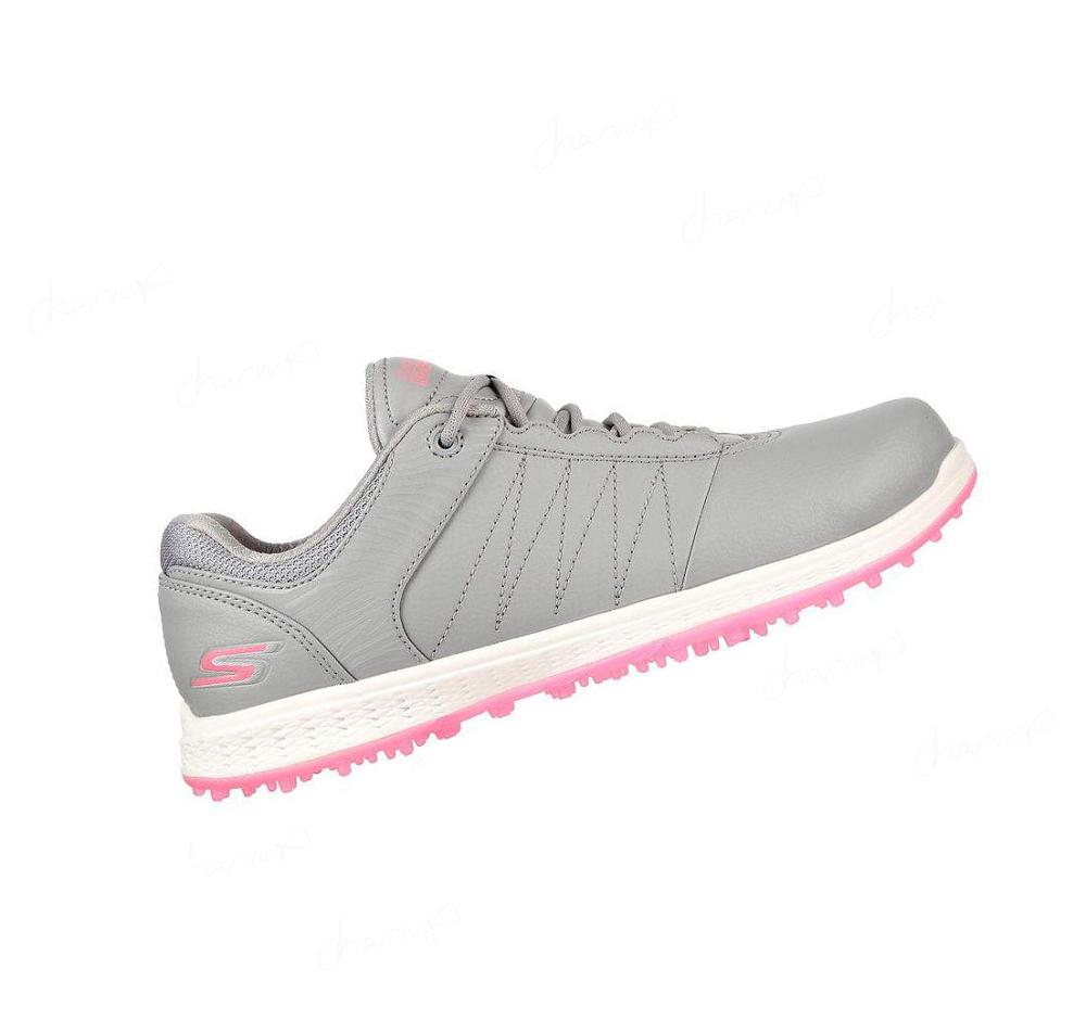 Zapatos de Golf Skechers GO GOLF Pivot Mujer Gris Rosas | 33550_AR