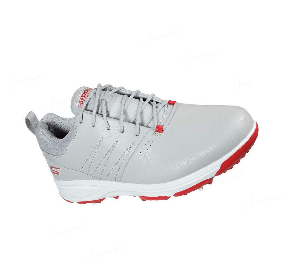 Zapatos de Golf Skechers GO GOLF Torque Pro Mujer Gris Rojas | 36T80_AR